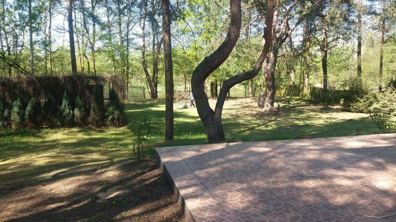 Domek Nad Narwia Dlugosiodlo 外观 照片